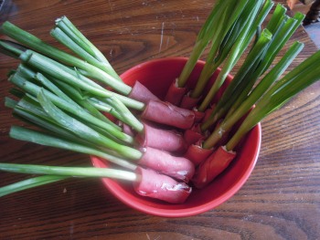 green onion wraps in bowl
